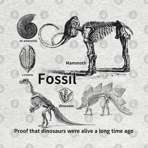 fossil, Proof that dinosaurs were alive a long time ago, dinosaur, an ammonite, a trilobite by zzzozzo